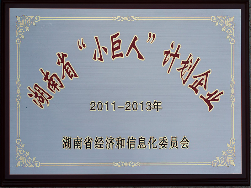 湖南省小巨人計劃企業(yè)